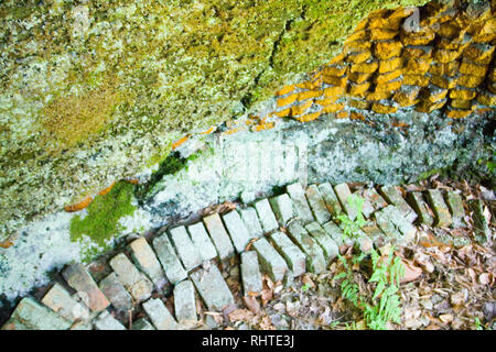 Coketown forno a coke rovine, Thomas, West Virginia Foto Stock