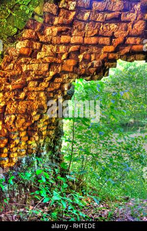 Coketown forno a coke rovine, Thomas, West Virginia Foto Stock