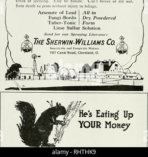 . Frutti migliori. Frutti-coltura. Pagina 20 frutti migliori jMarch il moderno agricoltore usa Sherwin-Williams Dry-Powdered insetticidi e fungicidi perché egli li trova la migliore e la forma più conveniente per tutti i tipi di spruzzatura. Facile da gestire. Non è in grado di congelare o asciugare. Assicurarsi che la morte di parassiti senza pregiudizio per il fogliame.. Lo sapevate che la U. S. Gov- ernmcpt ha mostrato che il terreno scoiattoli sul vostro luogo sono la raccolta 34c da voi ogni anno per ciascun acre dei vostri culti- â vated terra, in che cosa mangiare e distruggere? Purthermore, sapevate che questi piccoli distruggere- ers ammortizzare land â¢valori una media di $ Foto Stock
