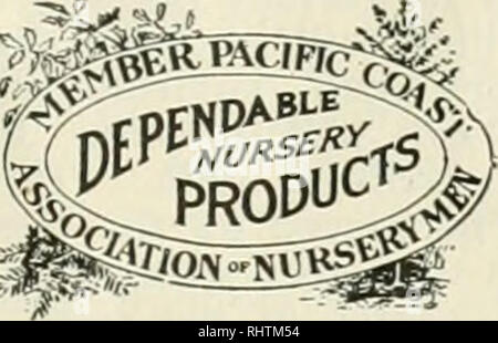 . Frutti migliori. Frutti-coltura. Febbraio, 1921 frutti migliori pagina 21 Alcuni affidabile Northwest vivaisti Città Capitale Vivaio Co. La nostra specialità: Apple, prugna secca e noci di piante ornamentali e da frutto arbusti una buona linea di alberi di frangivento e di ombra Indirizzo, Salem, Oregon casa unico ALWILD raccolta zucchero produttivo ineguagliabile NUOVA GARA DULUTH LUCKY + unica piantagione di Evergreen nuovo prati, Idaho Fragola inscatolatore meglio libera Everbearing quindici impianti $ 0,25 Fragola quindici impianti .45 Everbearing 15 piante di fragola .75 15 piante 0.90 Everbearing quindici impianti 1.75 Everbearing quindici impianti 5.00 e su Foto Stock