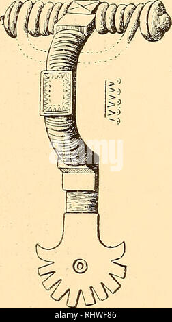 . Musei Bergens aarbog. La scienza. Fig. 103. Vi- Fig. 104. % È piatto e la sua superficie ornata con tre nastri paralleli, una forma a volte osservato in cruciforme spille, ma probabilmente originariamente appartenente ad un altro tipo (Rygh fig. 557-560); una speci- uomini di questo tipo è dato fig. 109,2) la prua è qui di una semplice esecuzione. Questo ramo di cruciforme spille sembra avere degene- *) Lunde, Vanse pgd. Il Lister. B. 4234]. Ab. 1883, s. 76. 2) Fig. 109 e 110 sono entrambi da Vestly, Lye pgd. Jaederen. B. 2532 e 2531. Lorange: N. Olds. Mi B. M. p. 56. - In ultimo di essi si è visto un i Foto Stock