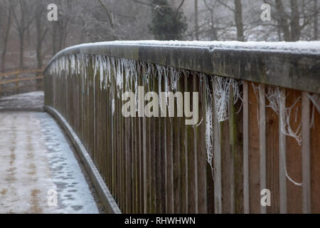 Congelati ragnatele sul ponte di neve Foto Stock