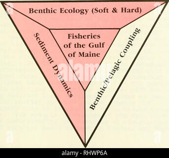 . Produttività bentonici e delle risorse marine del Golfo del Maine. Biologia Marina -- Maine, Golfo di; produttività primaria (biologia). Accoppiamento Benthic-Pelagic. 177. Si prega di notare che queste immagini vengono estratte dalla pagina sottoposta a scansione di immagini che possono essere state migliorate digitalmente per la leggibilità - Colorazione e aspetto di queste illustrazioni potrebbero non perfettamente assomigliano al lavoro originale. Stati Uniti. National Oceanic and Atmospheric Administration). Ufficio di ricerca sottomarino; Babb, Ivar; De Luca, Michael. [Rockville, MD] (6010 Executive Blvd. , Suite 805, Rockville 20852) : U. S. Dept of Commerce, Foto Stock