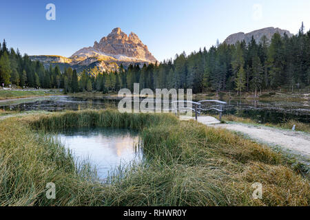 Lago di Misurina circondato dalla foresta di autunno nelle Dolomiti. Riflesso nel piccolo stagno sono le famose Tre Cime di Lavaredo. Foto Stock