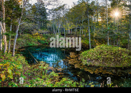 Kaminoko stagno in Akan Mashu National Park nel cuore selvaggio di Hokkaido Foto Stock