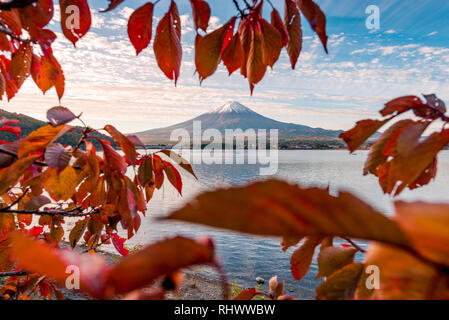 Il monte Fuji e foglie di autunno Foto Stock