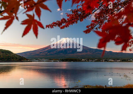 Lago Kawaguchiko e vette del Monte Fuji a sunrise con foglie di autunno Foto Stock