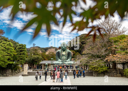 Daibutsu è il nome per il grande Buddha nella Kōtoku-in tempio di Kamakura Foto Stock