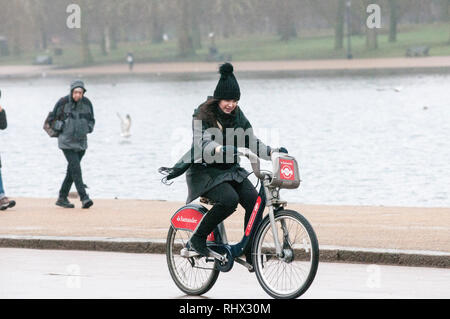 Londra, Regno Unito. 4 febbraio, 2019. Wet lunedì in London Hyde Park. Credito: JOHNNY ARMSTEAD/Alamy Live News Foto Stock