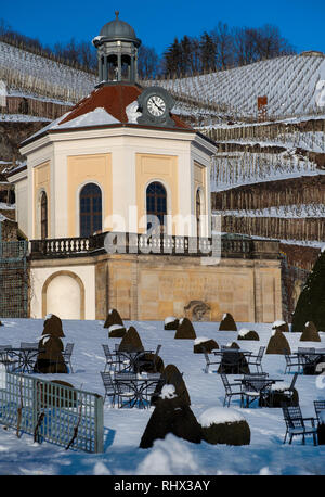 Radebeul, Germania. 04 feb 2019. I cieli blu sono visibili sopra la coperta di neve giardini di fronte di Belvedere a Schloss Waccurbarth cantina. Dal 1991, Schloss Waccurbarth stato sassone in cantina un vino e spumante manufactory, è stato istituito nel castello. Credito: Monika Skolimowska/dpa-Zentralbild/dpa/Alamy Live News Foto Stock