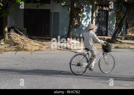 Tp. 9 Nov, 2018. Hà Giang, Vietnam - Un vecchio uomo che porta la sua grande ginestra sul retro della sua moto. Credito: Daniel Dohlus/ZUMA filo/Alamy Live News Foto Stock