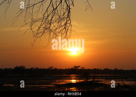 La riflessione del sole/tramonto In Bharatpur Bird Sanctuary/Parco Nazionale di Keoladeo Foto Stock