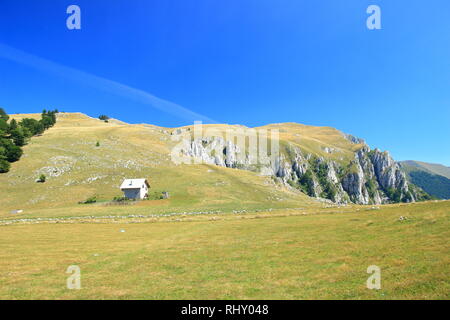 Mountain Vlasic in Bosnia ed Erzegovina, pastore la casa sul prato Foto Stock