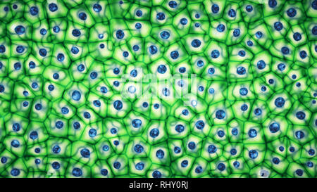 Embrionale verde brillante cellule staminali colonia sotto un microscopio 3D illustrazione Foto Stock