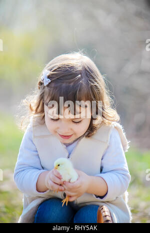 Il bambino tiene un pollo nelle sue mani. Foto Stock