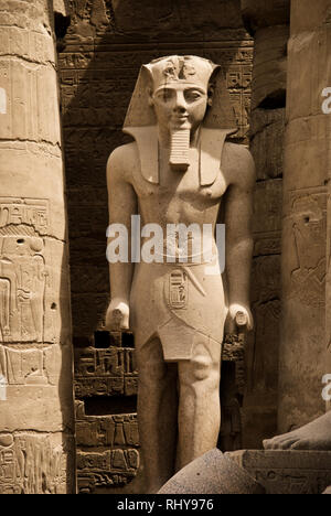 Statua di Ramses nel Tempio di Luxor complessa Foto Stock