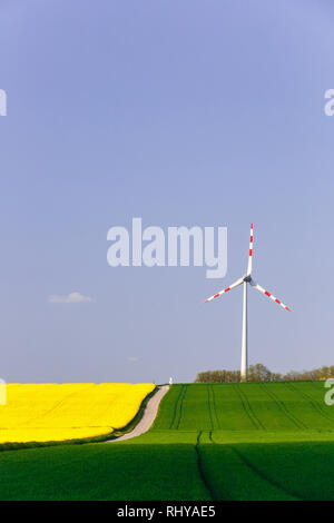 Wind Farm con la filatura turbina eolica nel mezzo di terreni agricoli di intensa produzione di raccolto. Sostenibile e fonti di energia rinnovabile di produzione, ecologia e en Foto Stock