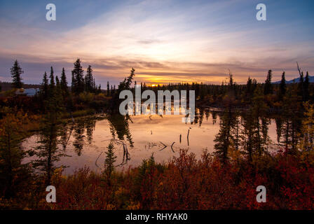 Un lago al tramonto lungo nabesna road in-Wrangell-St Elias National Park in autunno Foto Stock