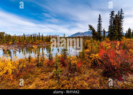 I colori autunnali catturato lungo Nabesna Road in.Wrangell-St Elias National Park Foto Stock