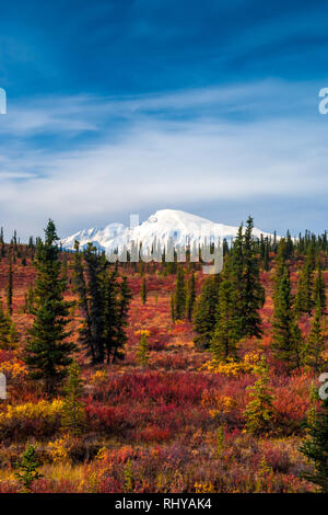 I colori autunnali catturato lungo Nabesna Road in.Wrangell-St Elias National Park Foto Stock