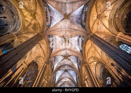 All'interno ed elementi architettonici della cattedrale di Barcellona - Catedral de la Santa Cruz y Santa Eulalia ( Santa Croce e di Santa Eulalia ) Foto Stock