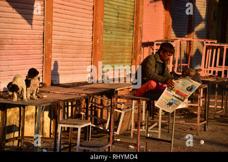 Indiano quotidiano Reader, Jodhpur, Rajasthan, India Foto Stock