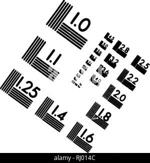 . Bemerkungen auf einer Reise in die sÃ¼dlichen Statthalterschaften des russischen Reichs in den Jahren 1793 und 1794 [microformati]. Storia naturale; Sciences Naturelles. Valutazione di immagine il bersaglio di test (MT-3). 1.0 I.I 11.25 â l'£12,8 â 50 ^^" ^ ^ 12,2 2,5 ho iUVi. È 6" t^ 7 P^ f /. Si prega di notare che queste immagini vengono estratte dalla pagina sottoposta a scansione di immagini che possono essere state migliorate digitalmente per la leggibilità - Colorazione e aspetto di queste illustrazioni potrebbero non perfettamente assomigliano al lavoro originale. Pallas, Peter Simon, 1741-1811. Leipzig : Bey Gottfried Martini Foto Stock