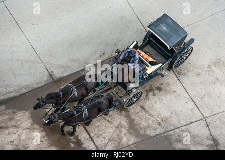 Vienna cavallo e carrozza visto dalla parte superiore della cattedrale di St Stephen torre nord, Austria. Foto Stock