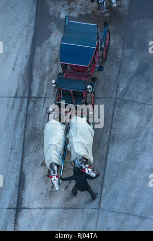 Vienna cavallo e carrozza visto dalla parte superiore della cattedrale di St Stephen torre nord, Austria. Foto Stock