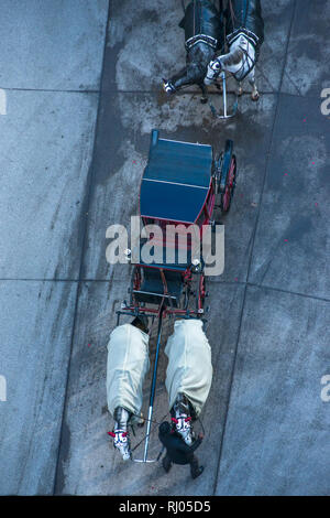 Vienna cavallo e carrozza visto dalla parte superiore della cattedrale di St Stephen torre nord, Austria. Foto Stock