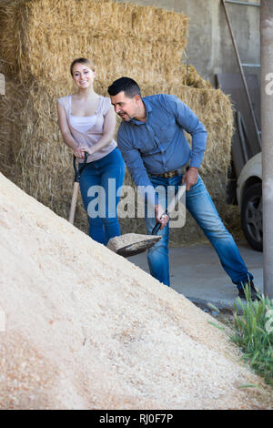 Due sorridendo i lavoratori agricoli azienda big badili su accanto al mucchio di sabbia in agriturismo in ambienti interni Foto Stock