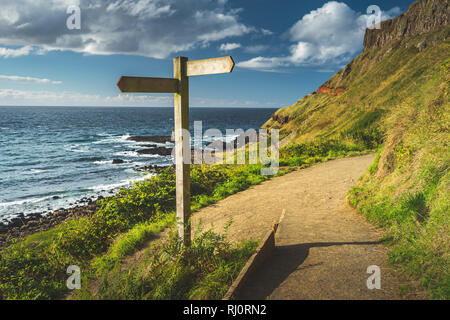 Close-up bivio signpost. Irlanda del Nord litorale. Il sentiero escursionistico accanto alla costa irlandese. Erba collina coperta sull'oceano. Il legno cartello stradale sul percorso turistico. Lo straordinario paesaggio. Foto Stock