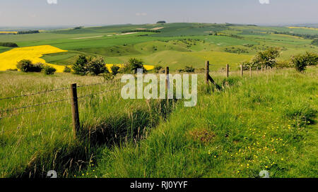 Calstone Coombes e Morgan Hill, visto da Cherhill giù, Wiltshire. Foto Stock