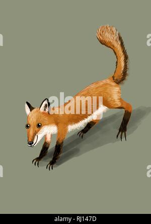 Un simpatico fox illustrazione Foto Stock