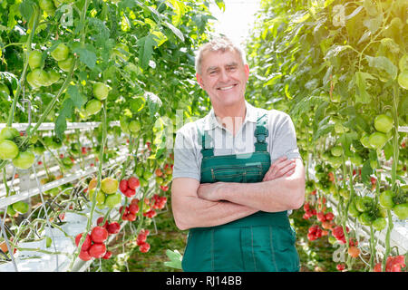 Giardiniere sorridente in piedi con le braccia incrociate in serra Foto Stock