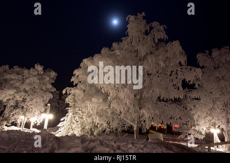 Vista la Lapponia in inverno durante la notte polare Foto Stock