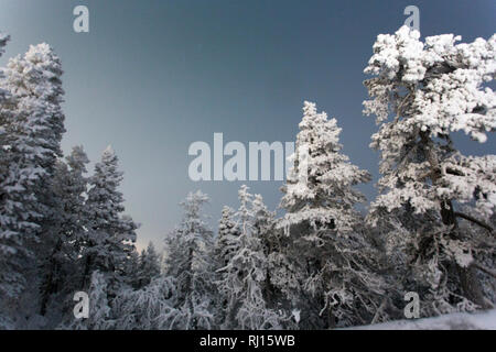 Vista la Lapponia in inverno durante la notte polare Foto Stock
