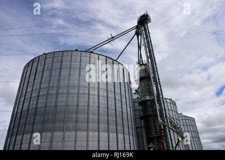 Diversi silos di deposito di grano di acciaio massiccio utilizzati per l'agricoltura in Estremo Nord Texas rurale, Stati Uniti Foto Stock