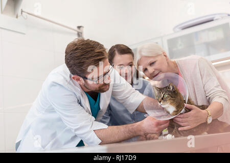 Medico e una ragazza guardando il gatto sul tavolo in clinica veterinaria Foto Stock