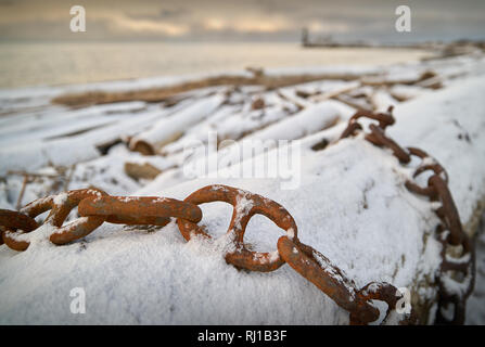 Neve sulla spiaggia Driftwood. Neve sul punto di Garry driftwood in Steveston, British Columbia, Canada. Foto Stock