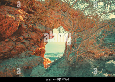 Arco nella roccia. Ein Gedi Riserva, Israele Foto Stock