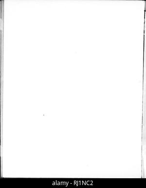 . Relazione sui lavori del Stati Uniti spedizione al Lady Franklin Bay, Grinnell Land [microformati] . Spedizioni scientifiche; spedizioni scientifiche. . Si prega di notare che queste immagini vengono estratte dalla pagina sottoposta a scansione di immagini che possono essere state migliorate digitalmente per la leggibilità - Colorazione e aspetto di queste illustrazioni potrebbero non perfettamente assomigliano al lavoro originale. Greely, A. W. (Adolphus Washington), 1844-1935; zione. Washington : G. P. O. Foto Stock