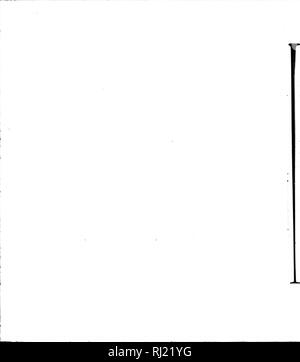 . Secondo viaggio à la Louisiane, faisant suite au premier de l'auteur de 1794 à 1798 [microforme] : contenant onu mémoire sur la découverte du coton animale, Onu manuel botanique à l'usage des Jeunes colons, Onu dictionnaire ou vocabulaire Congo, précédé d'une statistique des comptoires de la Côte d'Angole, le tout utile Américains aux cultivateurs .... Plantes; piante. . Si prega di notare che queste immagini vengono estratte dalla pagina sottoposta a scansione di immagini che possono essere state migliorate digitalmente per la leggibilità - Colorazione e aspetto di queste illustrazioni potrebbero non perfettamente assomigliano al lavoro originale. Baudry de Foto Stock