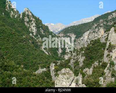 Enipeas Canyon in Olympus national park (nord-est della Grecia) Foto Stock