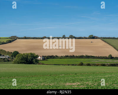 Due trackors lavorando un campo oro con agriturismo sotto un cielo blu chiaro nel Regno Unito Foto Stock