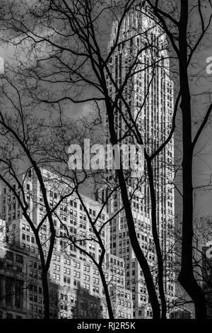 New York City - STATI UNITI D'America - 26 DIC 2018: Silhouette vista sugli alberi per facciata frammento di 500 Fifth Avenue edificio art deco in Bryant Park Manhattan Foto Stock