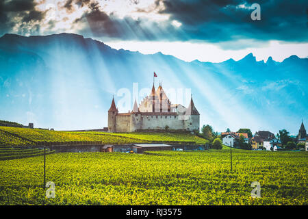 Aigle castello circondato dai vigneti in Svizzera Foto Stock