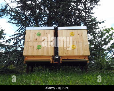 Api battenti in due alveari in legno in una giornata di sole Foto Stock