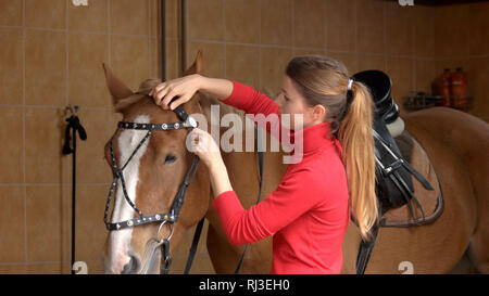 Horse rider preparazione briglia a stabile. Foto Stock