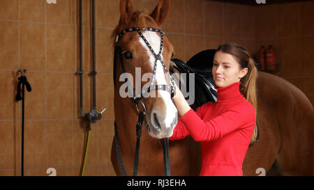 Bellissima ragazza con il suo cavallo in stabile. Foto Stock